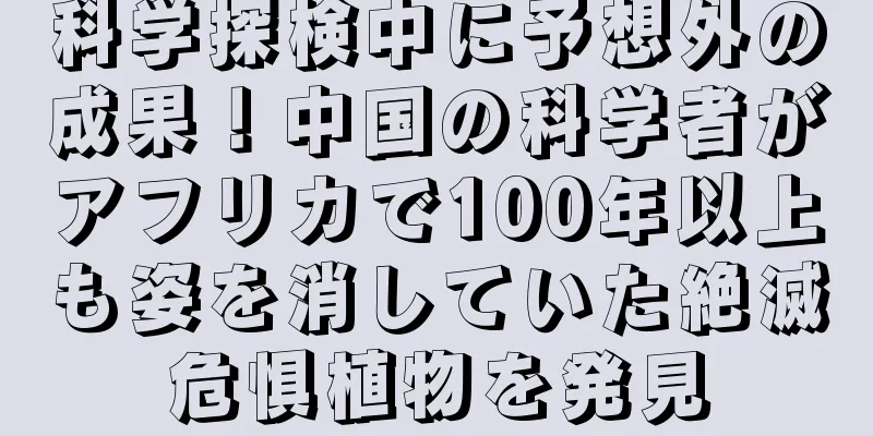 科学探検中に予想外の成果！中国の科学者がアフリカで100年以上も姿を消していた絶滅危惧植物を発見