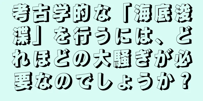 考古学的な「海底浚渫」を行うには、どれほどの大騒ぎが必要なのでしょうか？
