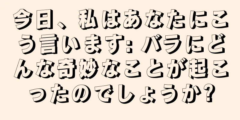 今日、私はあなたにこう言います: バラにどんな奇妙なことが起こったのでしょうか?