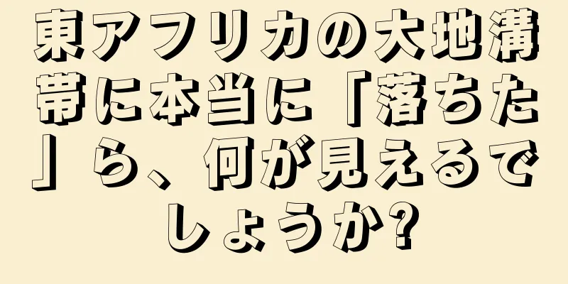 東アフリカの大地溝帯に本当に「落ちた」ら、何が見えるでしょうか?