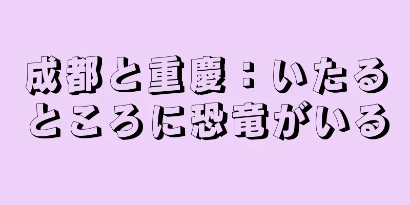 成都と重慶：いたるところに恐竜がいる