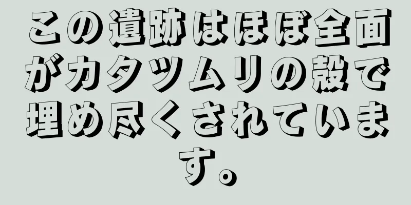 この遺跡はほぼ全面がカタツムリの殻で埋め尽くされています。