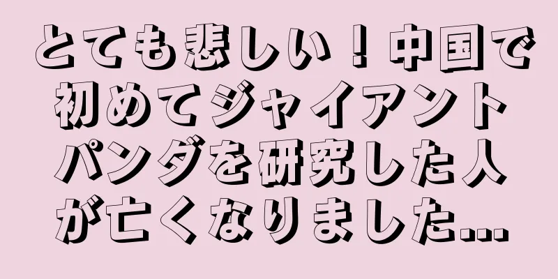 とても悲しい！中国で初めてジャイアントパンダを研究した人が亡くなりました...