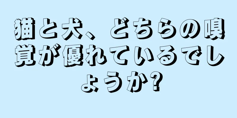 猫と犬、どちらの嗅覚が優れているでしょうか?