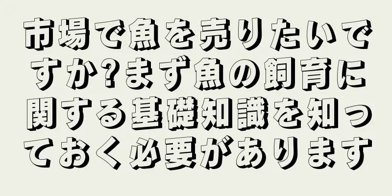 市場で魚を売りたいですか?まず魚の飼育に関する基礎知識を知っておく必要があります