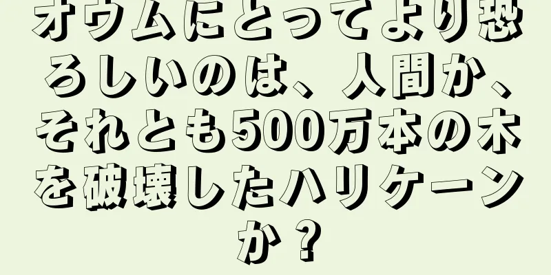 オウムにとってより恐ろしいのは、人間か、それとも500万本の木を破壊したハリケーンか？