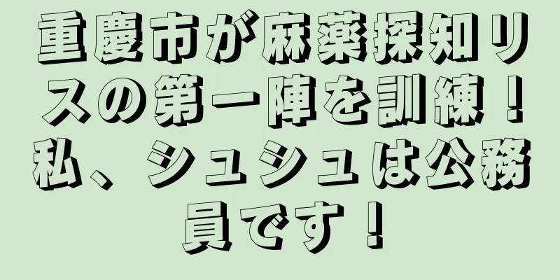 重慶市が麻薬探知リスの第一陣を訓練！私、シュシュは公務員です！