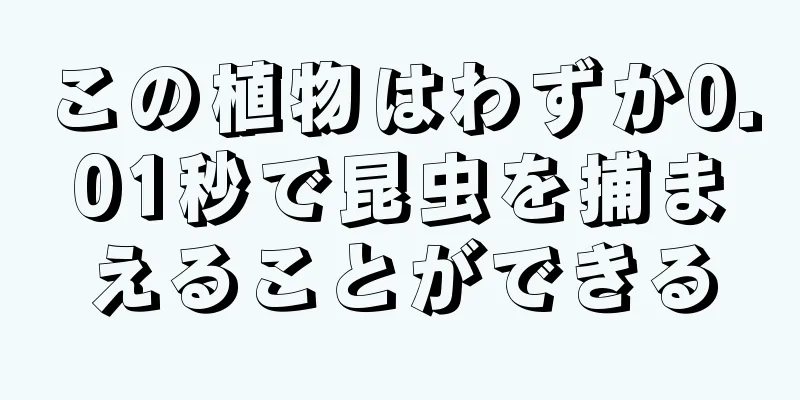 この植物はわずか0.01秒で昆虫を捕まえることができる