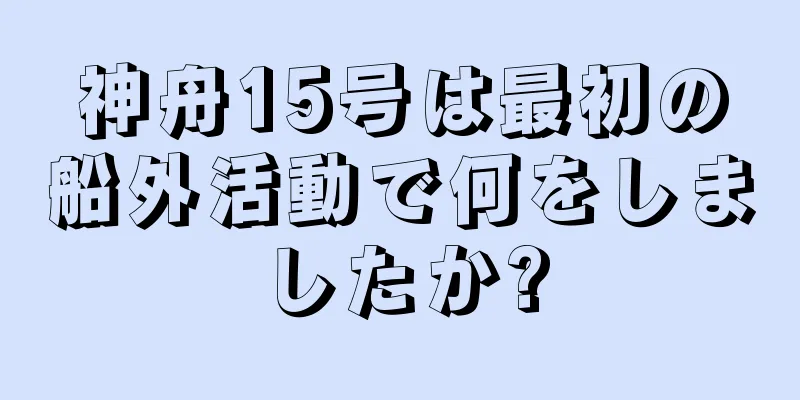 神舟15号は最初の船外活動で何をしましたか?