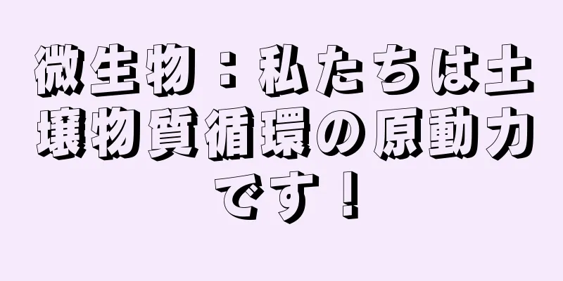 微生物：私たちは土壌物質循環の原動力です！