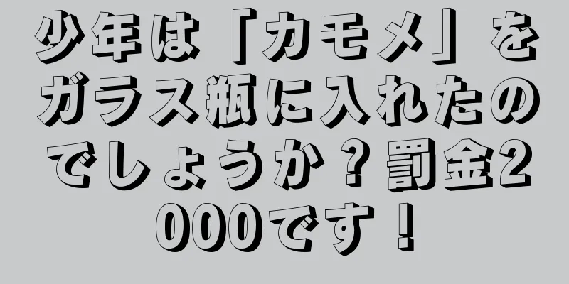 少年は「カモメ」をガラス瓶に入れたのでしょうか？罰金2000です！