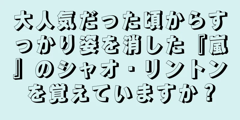 大人気だった頃からすっかり姿を消した『嵐』のシャオ・リントンを覚えていますか？