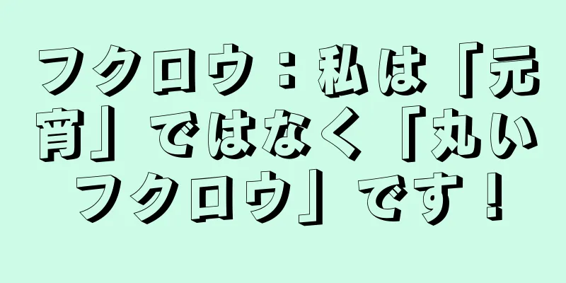 フクロウ：私は「元宵」ではなく「丸いフクロウ」です！