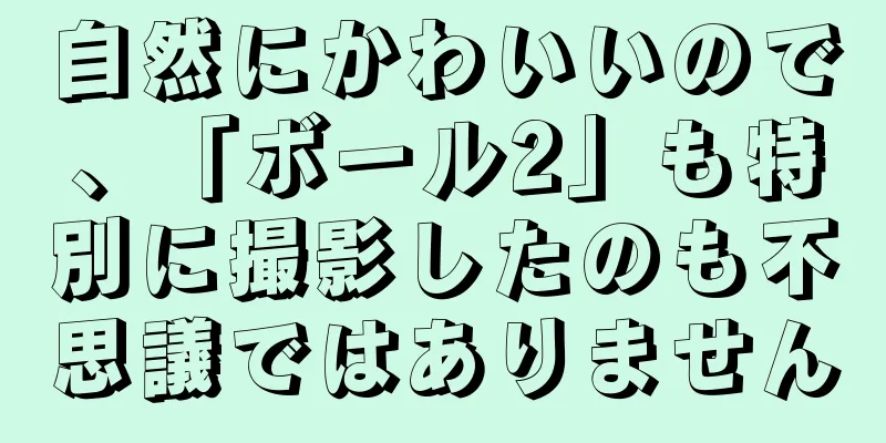 自然にかわいいので、「ボール2」も特別に撮影したのも不思議ではありません