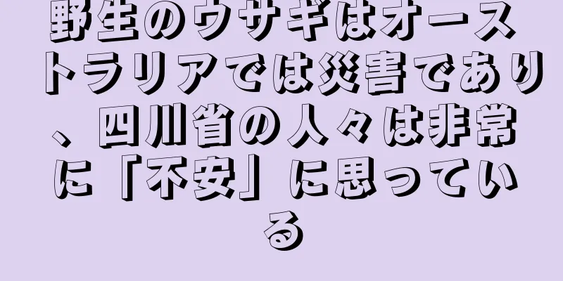 野生のウサギはオーストラリアでは災害であり、四川省の人々は非常に「不安」に思っている