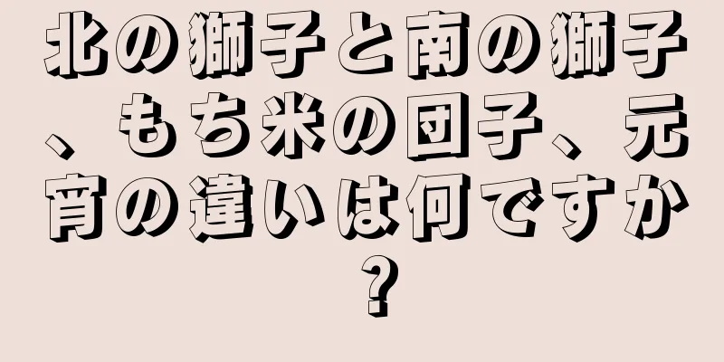 北の獅子と南の獅子、もち米の団子、元宵の違いは何ですか？