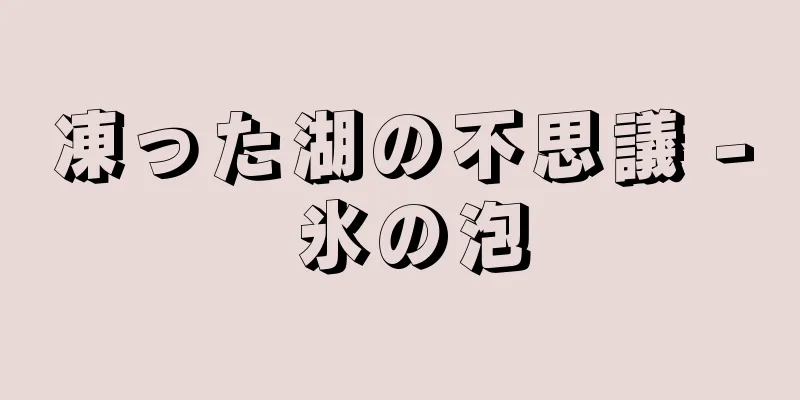 凍った湖の不思議 - 氷の泡