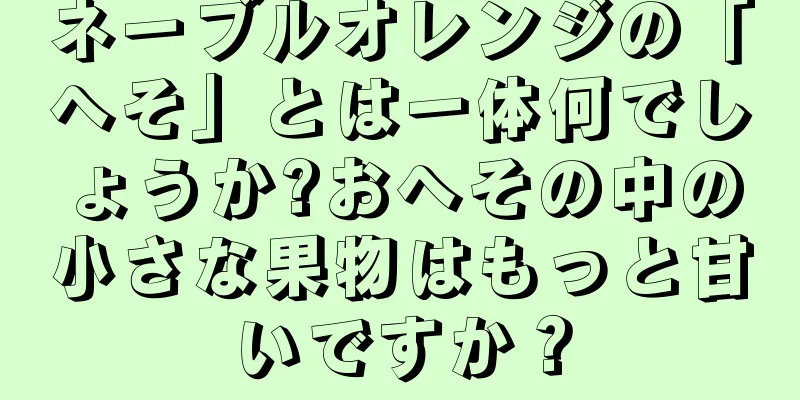 ネーブルオレンジの「へそ」とは一体何でしょうか?おへその中の小さな果物はもっと甘いですか？