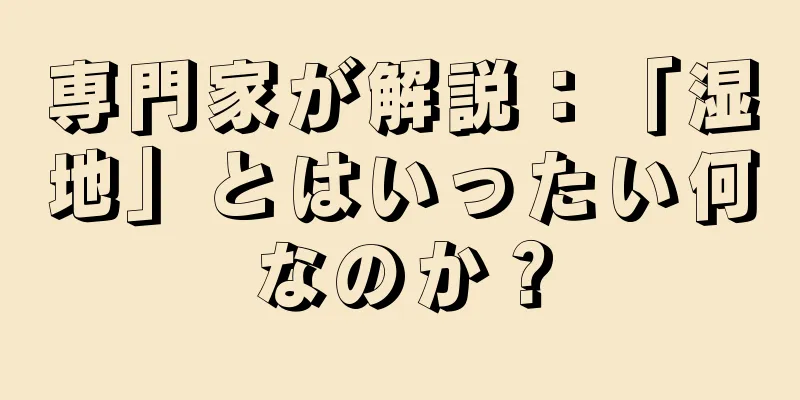 専門家が解説：「湿地」とはいったい何なのか？