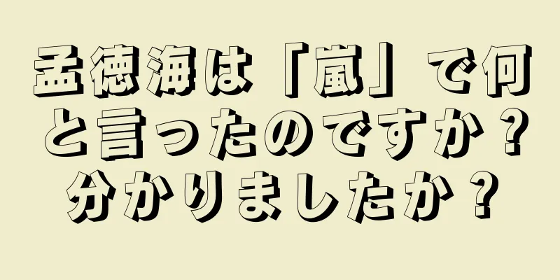 孟徳海は「嵐」で何と言ったのですか？分かりましたか？
