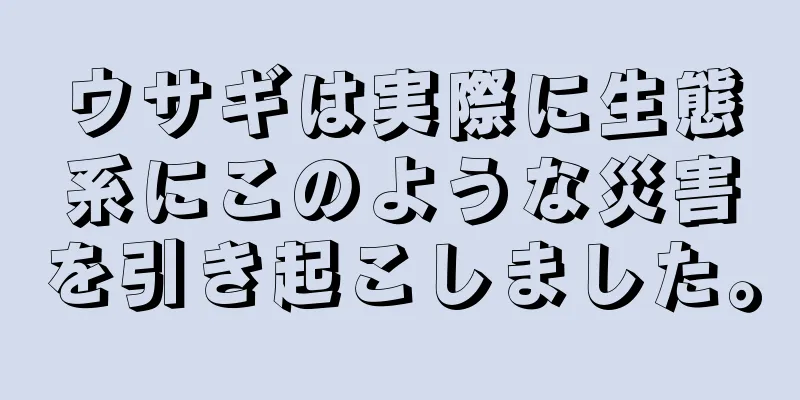 ウサギは実際に生態系にこのような災害を引き起こしました。