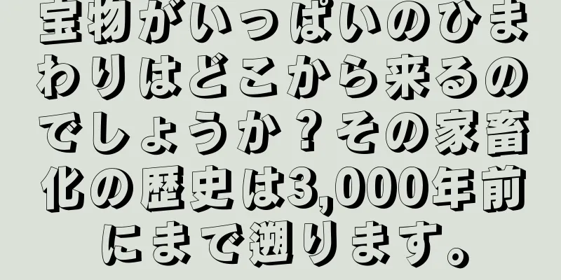 宝物がいっぱいのひまわりはどこから来るのでしょうか？その家畜化の歴史は3,000年前にまで遡ります。