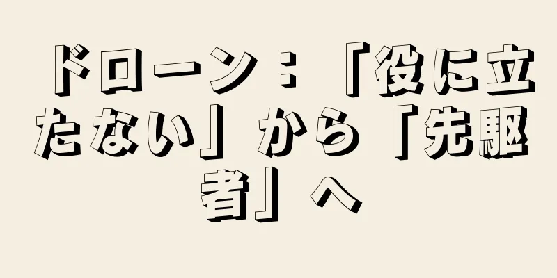 ドローン：「役に立たない」から「先駆者」へ