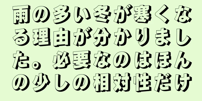雨の多い冬が寒くなる理由が分かりました。必要なのはほんの少しの相対性だけ