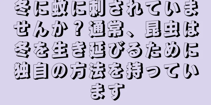 冬に蚊に刺されていませんか？通常、昆虫は冬を生き延びるために独自の方法を持っています
