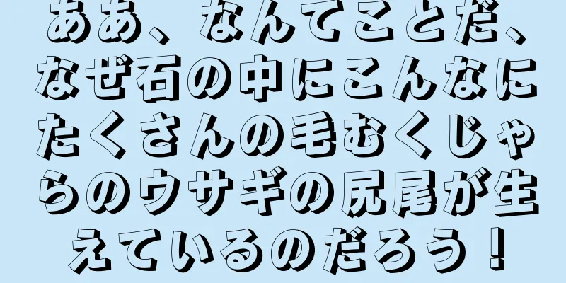 ああ、なんてことだ、なぜ石の中にこんなにたくさんの毛むくじゃらのウサギの尻尾が生えているのだろう！