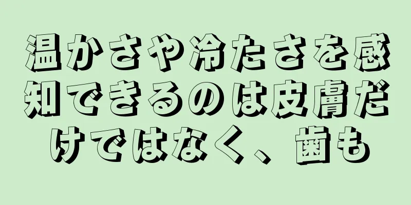 温かさや冷たさを感知できるのは皮膚だけではなく、歯も