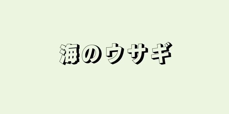 海のウサギ
