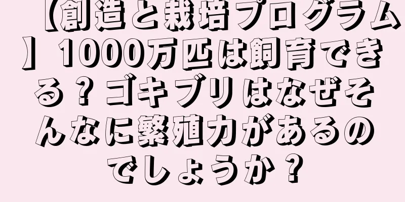 【創造と栽培プログラム】1000万匹は飼育できる？ゴキブリはなぜそんなに繁殖力があるのでしょうか？