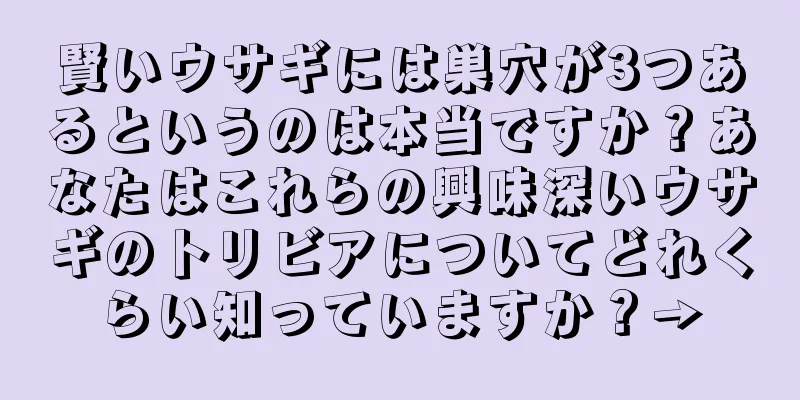 賢いウサギには巣穴が3つあるというのは本当ですか？あなたはこれらの興味深いウサギのトリビアについてどれくらい知っていますか？→