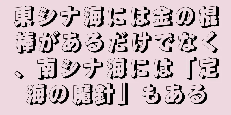 東シナ海には金の棍棒があるだけでなく、南シナ海には「定海の魔針」もある