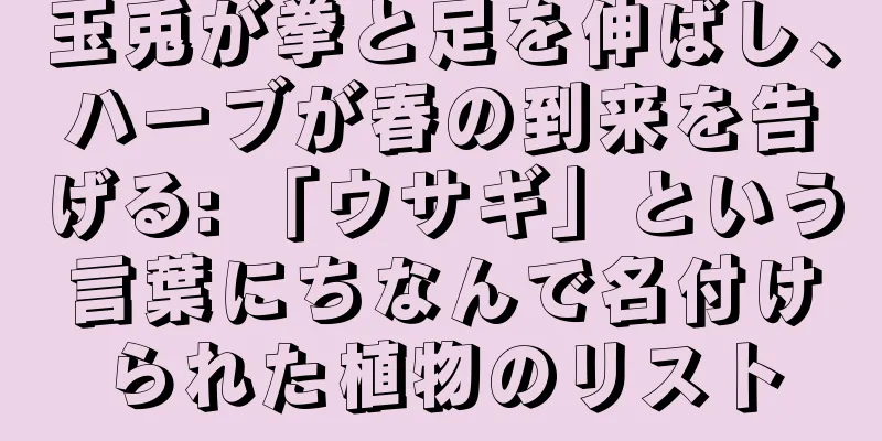 玉兎が拳と足を伸ばし、ハーブが春の到来を告げる: 「ウサギ」という言葉にちなんで名付けられた植物のリスト