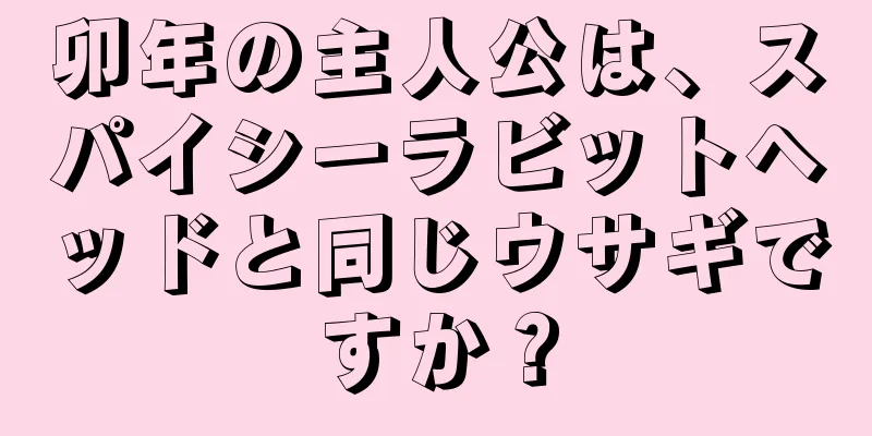 卯年の主人公は、スパイシーラビットヘッドと同じウサギですか？