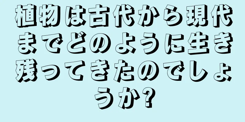 植物は古代から現代までどのように生き残ってきたのでしょうか?
