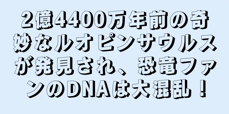 2億4400万年前の奇妙なルオピンサウルスが発見され、恐竜ファンのDNAは大混乱！