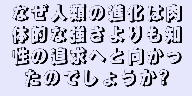 なぜ人類の進化は肉体的な強さよりも知性の追求へと向かったのでしょうか?
