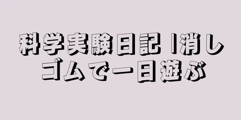 科学実験日記 |消しゴムで一日遊ぶ