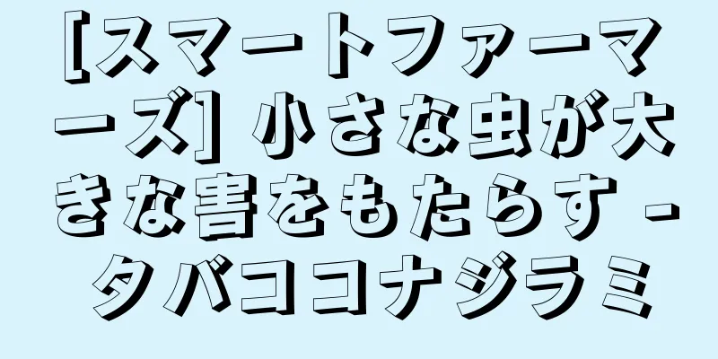 [スマートファーマーズ] 小さな虫が大きな害をもたらす - タバココナジラミ