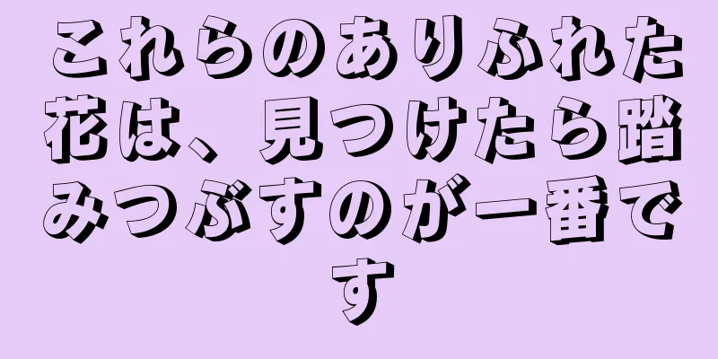 これらのありふれた花は、見つけたら踏みつぶすのが一番です