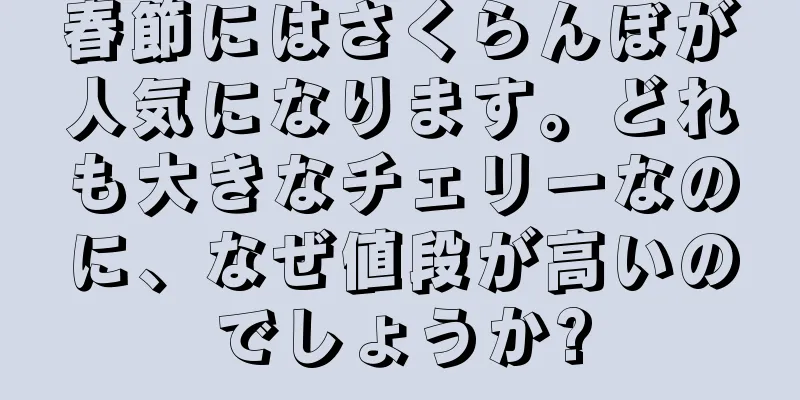 春節にはさくらんぼが人気になります。どれも大きなチェリーなのに、なぜ値段が高いのでしょうか?