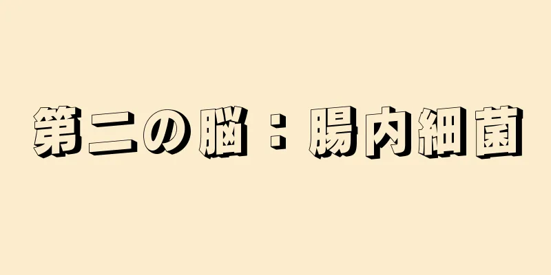 第二の脳：腸内細菌