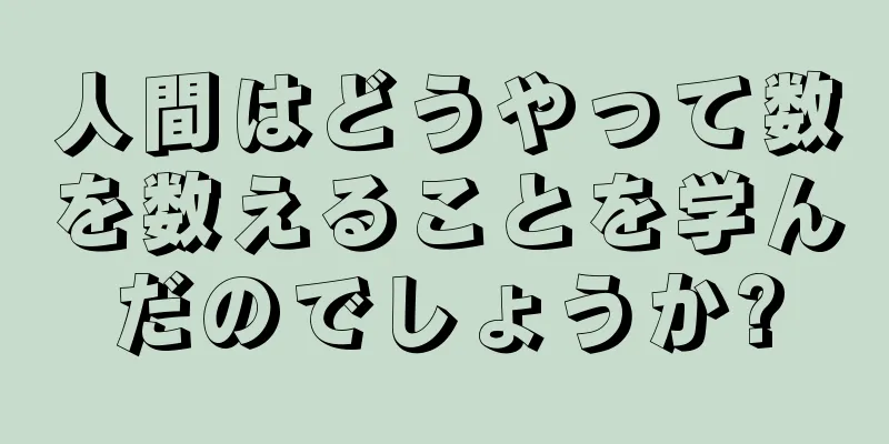 人間はどうやって数を数えることを学んだのでしょうか?
