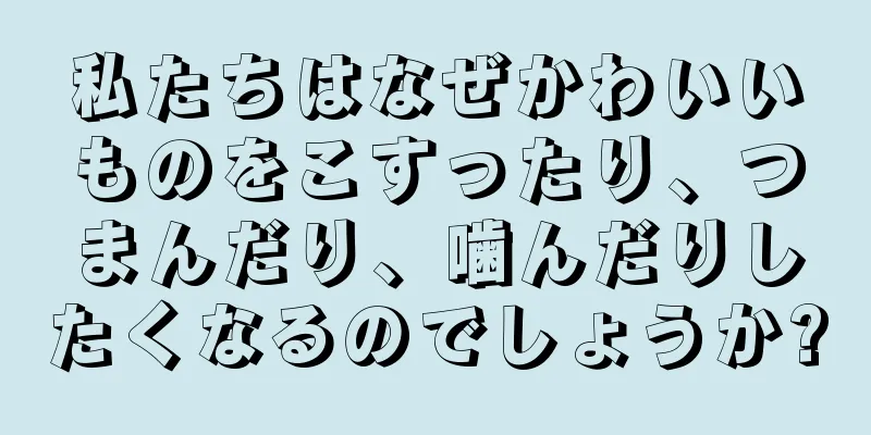 私たちはなぜかわいいものをこすったり、つまんだり、噛んだりしたくなるのでしょうか?