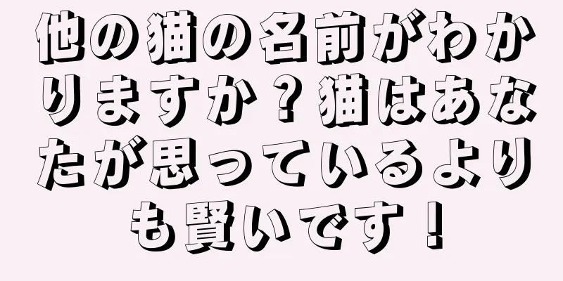 他の猫の名前がわかりますか？猫はあなたが思っているよりも賢いです！