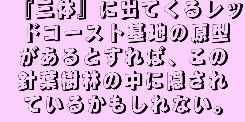 『三体』に出てくるレッドコースト基地の原型があるとすれば、この針葉樹林の中に隠されているかもしれない。