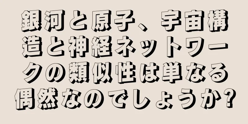 銀河と原子、宇宙構造と神経ネットワークの類似性は単なる偶然なのでしょうか?